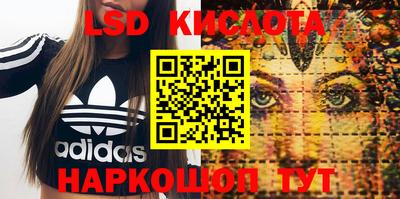 эйфоретик Абинск