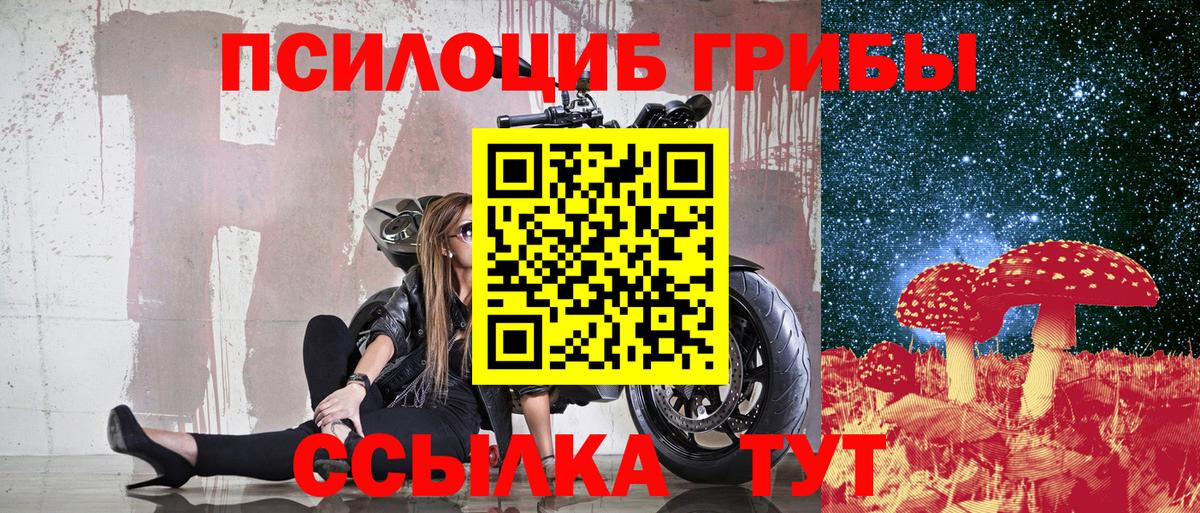 Псилоцибиновые грибы мицелий  Вход с VPN  Абинск 